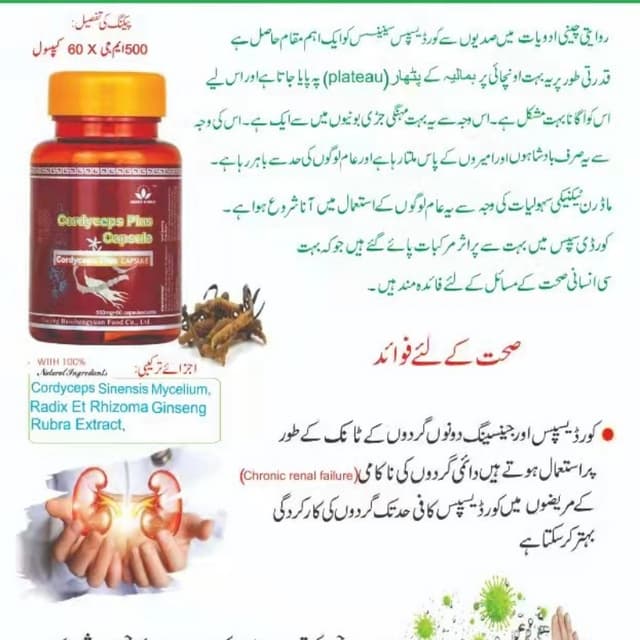 Cordyceps Plus Capsule /