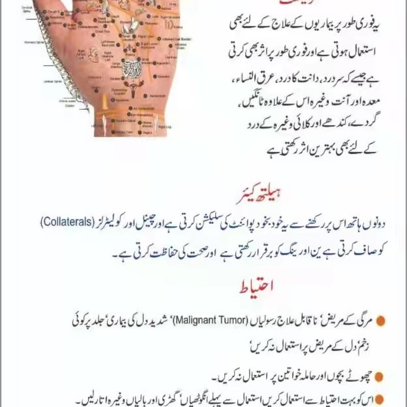 Hand Point Diagnosis (Machine)